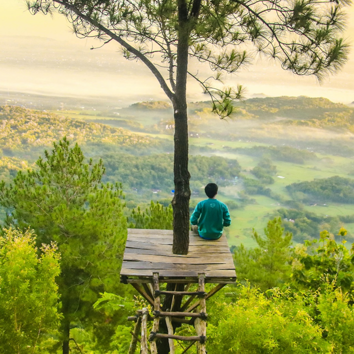 Person contemplating a forest scene